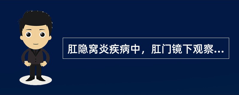 肛隐窝炎疾病中，肛门镜下观察下列哪一项是不正确的（）