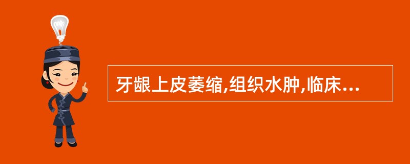 牙龈上皮萎缩,组织水肿,临床表现为