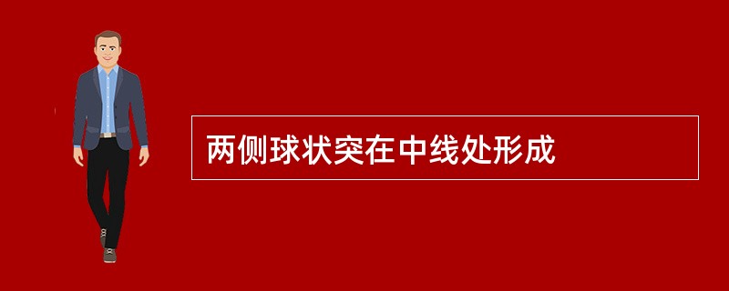 两侧球状突在中线处形成