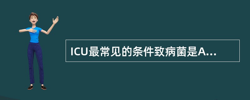 ICU最常见的条件致病菌是A、金黄色葡萄球菌B、铜绿假单胞菌C、大肠埃希菌D、肺