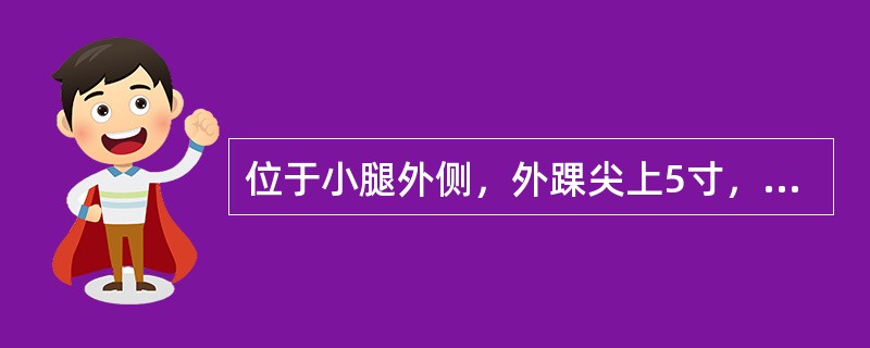 位于小腿外侧，外踝尖上5寸，腓骨前缘的腧穴是