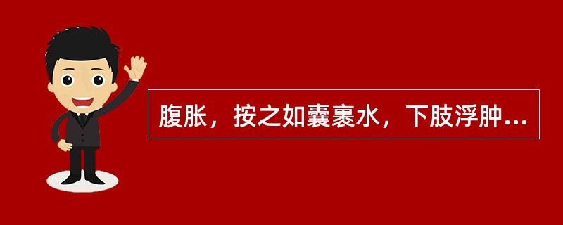 腹胀，按之如囊裹水，下肢浮肿，神困，怯寒懒动，尿少便溏，苔白腻，脉缓。宜选用A、