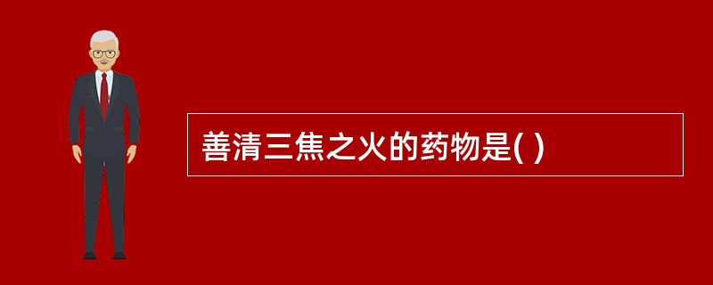 善清三焦之火的药物是( )