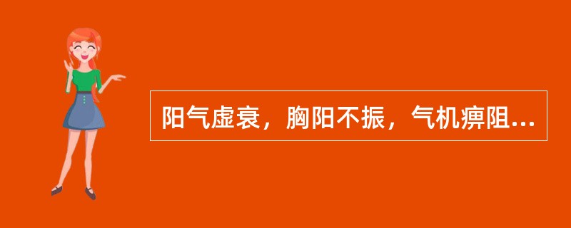 阳气虚衰，胸阳不振，气机痹阻，血行瘀滞心肾阳虚证胸痹的主要病机为