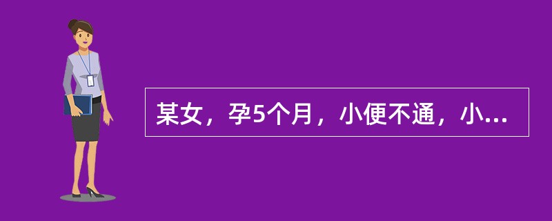 某女，孕5个月，小便不通，小腹胀急疼痛，心烦不得卧。应诊断为A、子烦B、转胞C、