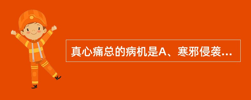 真心痛总的病机是A、寒邪侵袭B、心阳虚C、肾阳虚D、本虚标实E、本实标虚