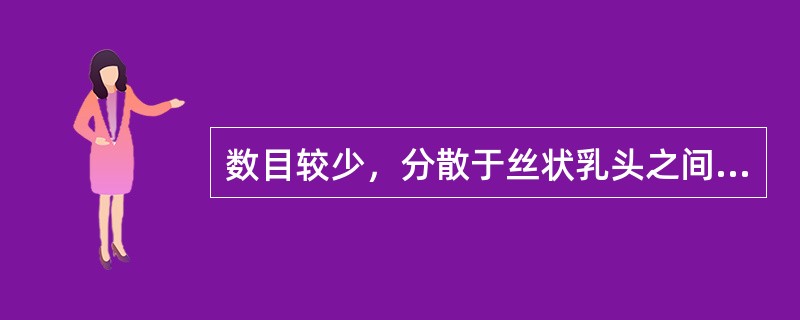 数目较少，分散于丝状乳头之间。呈圆形头大颈细的是