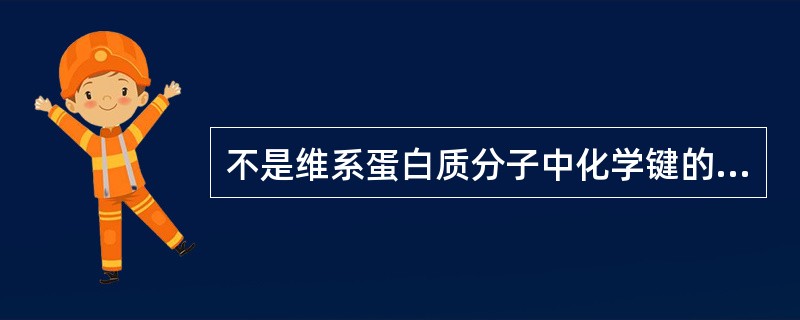 不是维系蛋白质分子中化学键的是A、盐键B、疏水键C、氢键D、肽键E、二硫键 -