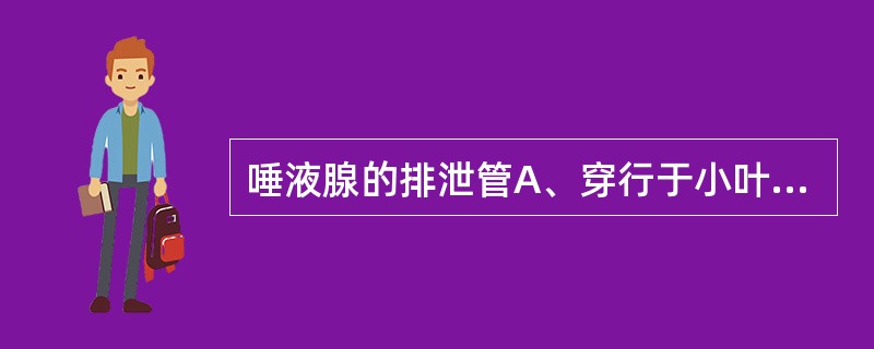 唾液腺的排泄管A、穿行于小叶间B、又称闰管C、穿行于小叶间结缔组织中D、管径较细