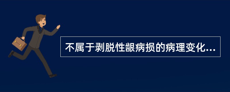 不属于剥脱性龈病损的病理变化的是A、上皮萎缩B、上皮内疱C、上皮增生D、基底细胞