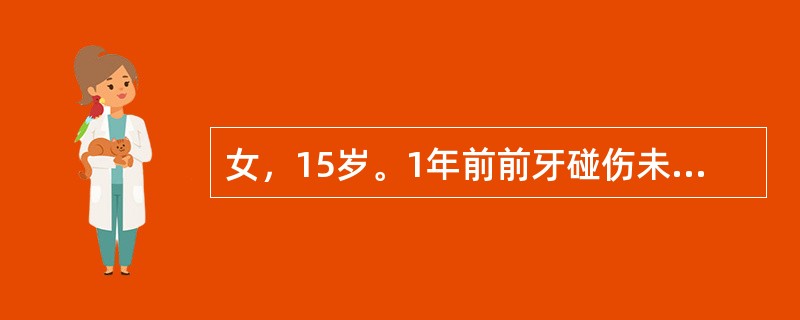 女，15岁。1年前前牙碰伤未治，近3日牙龈肿痛不能咬物。查：牙冠近中切角折断，牙