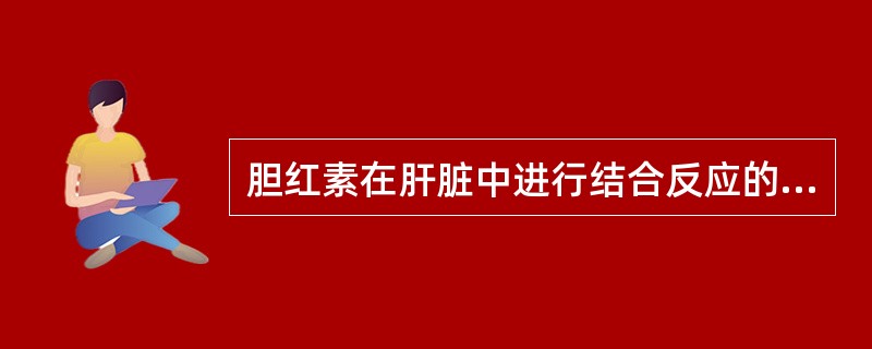 胆红素在肝脏中进行结合反应的场所是A、滑面内质网B、溶酶体C、线粒体D、胞液E、