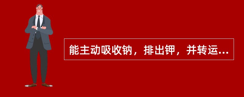 能主动吸收钠，排出钾，并转运水，改变唾液的量和渗透压的导管是A、闰管B、排泄管C