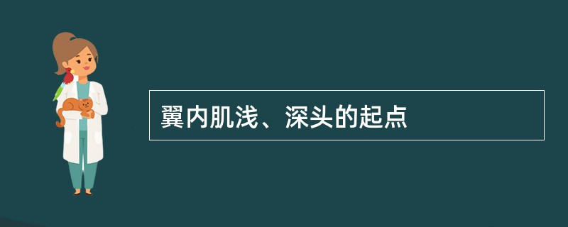 翼内肌浅、深头的起点