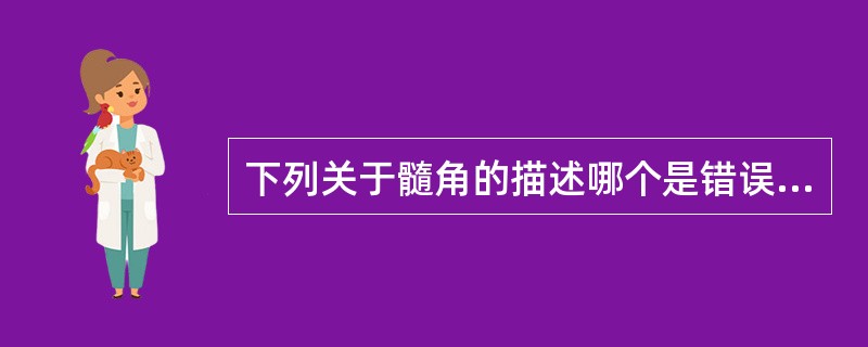 下列关于髓角的描述哪个是错误的A、下颌第一前磨牙颊侧髓角最高B、下颌第一磨牙近中