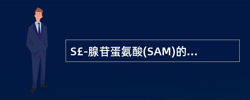 S£­腺苷蛋氨酸(SAM)的重要生理功用是A、提供甲基B、合成四氢叶酸C、生成腺