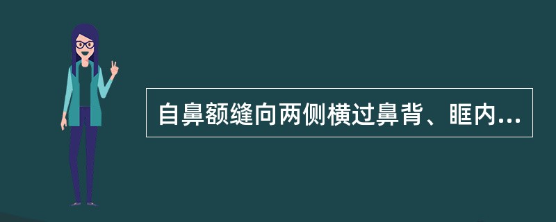 自鼻额缝向两侧横过鼻背、眶内下，沿眶底，经颧骨下方达翼突