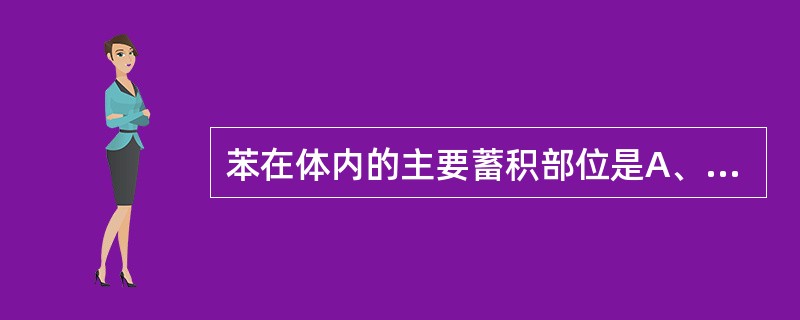 苯在体内的主要蓄积部位是A、骨皮质B、骨髓C、血液D、脑E、肾脏