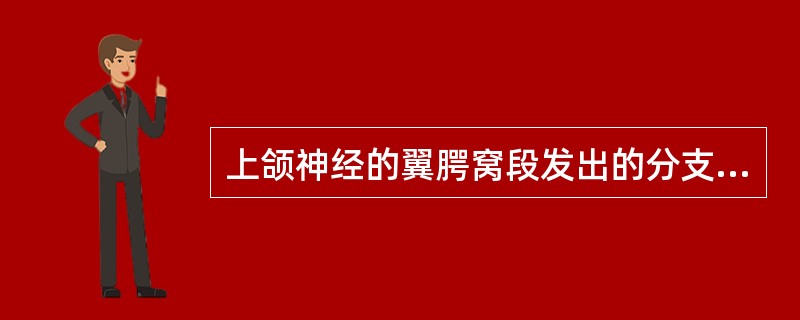 上颌神经的翼腭窝段发出的分支不包括A、颧神经B、翼腭神经C、上牙槽后神经D、上牙