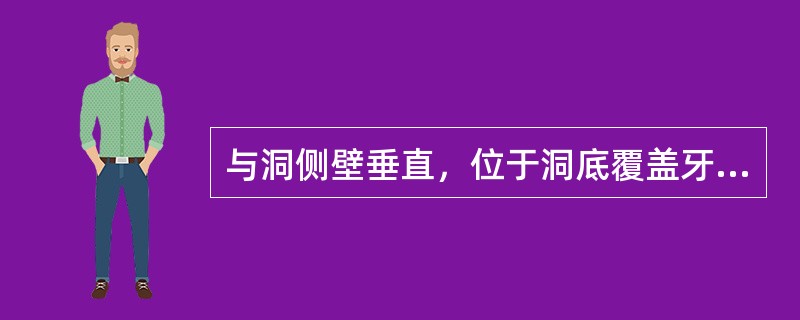 与洞侧壁垂直，位于洞底覆盖牙髓的洞壁称