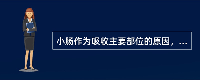 小肠作为吸收主要部位的原因，错误的是A、食物在小肠内停留的时间长B、小肠含有丰厚