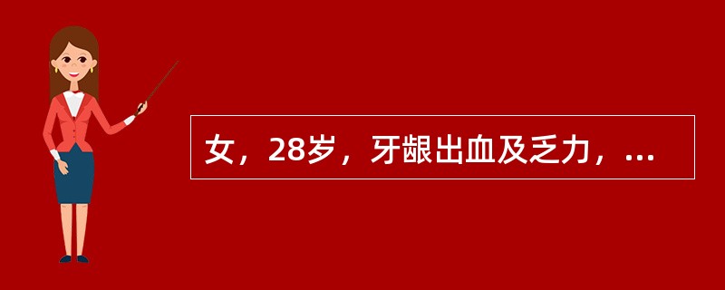 女，28岁，牙龈出血及乏力，头昏3个月。体查：贫血貌，浅表淋巴结及肝脾不大。全血