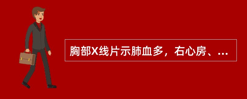 胸部X线片示肺血多，右心房、右心室增大的是