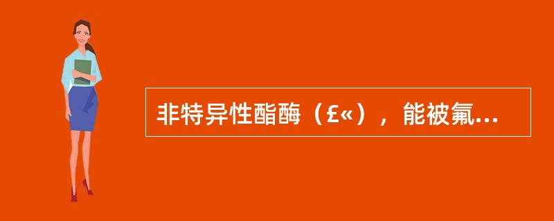 非特异性酯酶（£«），能被氟化钠抑制见于