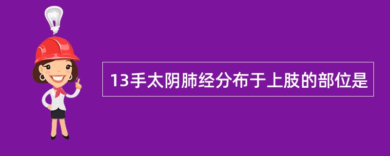 13手太阴肺经分布于上肢的部位是