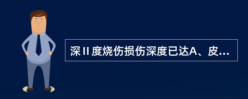 深Ⅱ度烧伤损伤深度已达A、皮下脂肪层B、表皮浅层C、表皮生发层和真皮乳头层D、皮