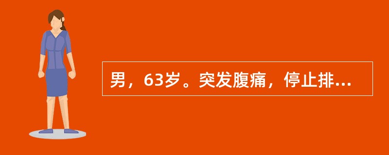 男，63岁。突发腹痛，停止排气、排便1天，既往曾因十二指肠溃疡行胃大部切除术。查