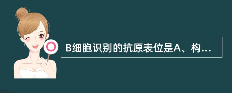 B细胞识别的抗原表位是A、构象决定基B、顺序决定基C、构象决定基和顺序决定基D、