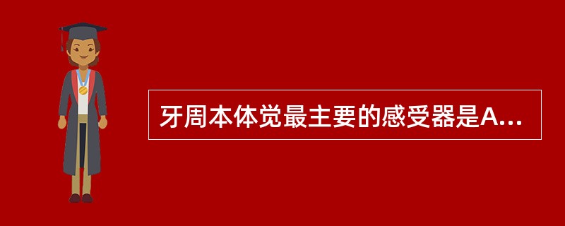 牙周本体觉最主要的感受器是A、游离神经末梢B、梭形末梢C、Ruffini末梢D、