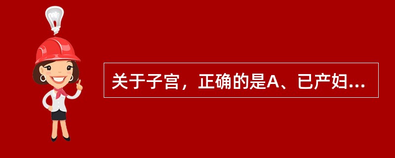 关于子宫，正确的是A、已产妇的子宫颈外口是圆形B、成年的子宫长7～8cm，宽4～