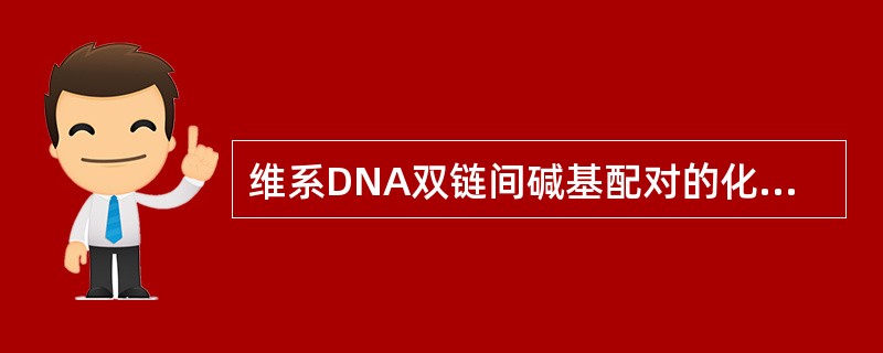 维系DNA双链间碱基配对的化学键是A、氢键B、磷酸二酯键C、肽键D、疏水键E、糖