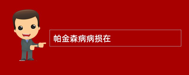 帕金森病病损在