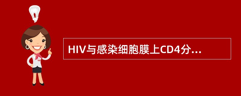 HIV与感染细胞膜上CD4分子结合的病毒刺突是A、gp160B、gp41C、P2