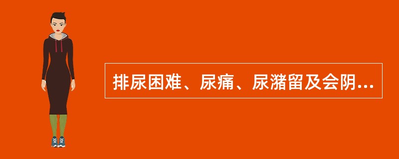 排尿困难、尿痛、尿潴留及会阴部疼痛为