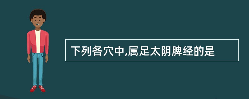 下列各穴中,属足太阴脾经的是