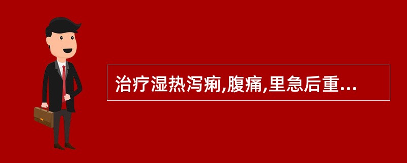 治疗湿热泻痢,腹痛,里急后重应首选的药物是 ( )。