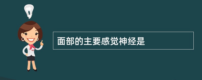 面部的主要感觉神经是