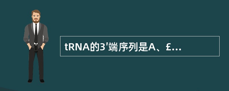 tRNA的3′端序列是A、£­ACAB、£­ACCC、£­CCAD、£­AAAE