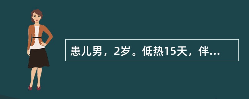 患儿男，2岁。低热15天，伴盗汗、消瘦、轻咳10天。胸部X线透视呈"双极影"，即