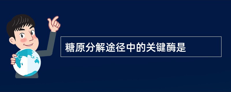 糖原分解途径中的关键酶是