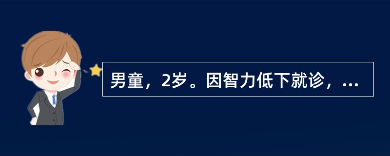 男童，2岁。因智力低下就诊，查染色体核型为46，XX，£­21，£«t(21q2