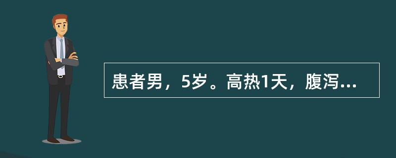 患者男，5岁。高热1天，腹泻6～7次，为黏液脓血便，腹痛伴里急后重，反复惊厥，逐