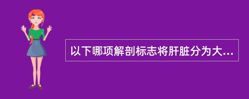 以下哪项解剖标志将肝脏分为大致相等的两半A、正中裂B、右叶间裂C、镰状韧带D、冠