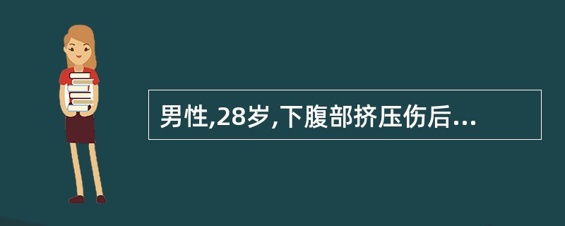 男性,28岁,下腹部挤压伤后5小时、下腹胀痛、排尿困难、尿道滴血。检查:下腹部膨