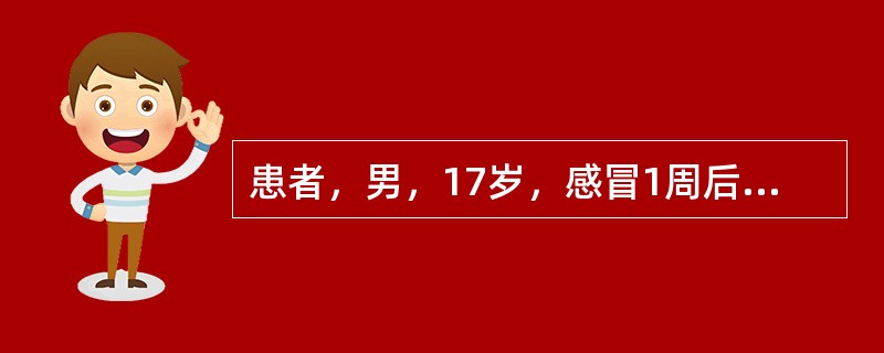 患者，男，17岁，感冒1周后出现颜面及双下肢水肿。查体：血压.140£¯90mm