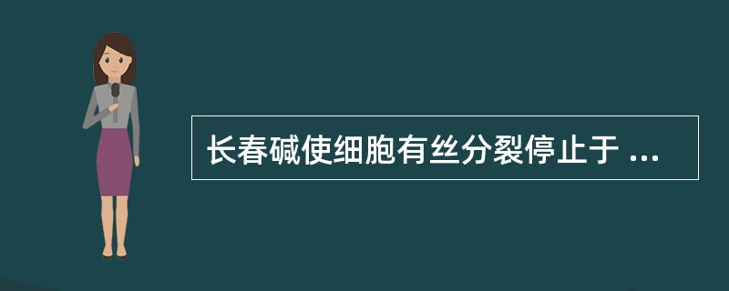 长春碱使细胞有丝分裂停止于 A．G0期 B．G1期 C．M期 D．S期 E．G2